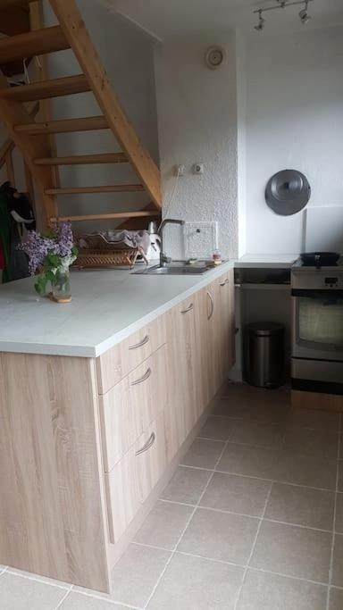 Beau Duplex Lumineux A La Montagne Nice Flat Just Underneath Mtblanc 레우쉬 외부 사진
